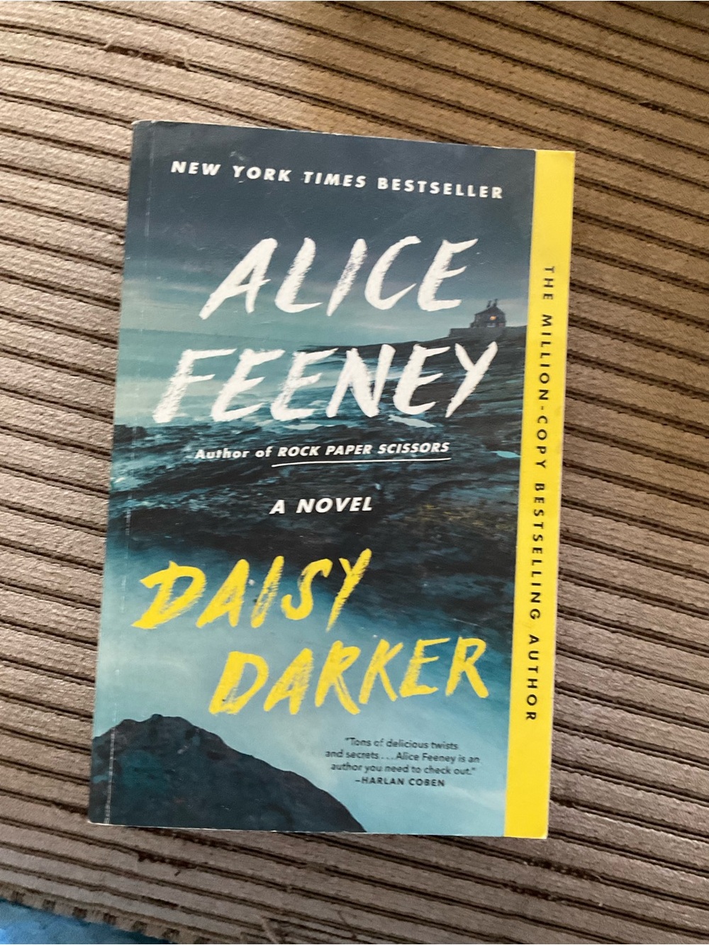 Alice Feeney "Daisy Darker" Paperback Novel - Blue & Yellow Cover